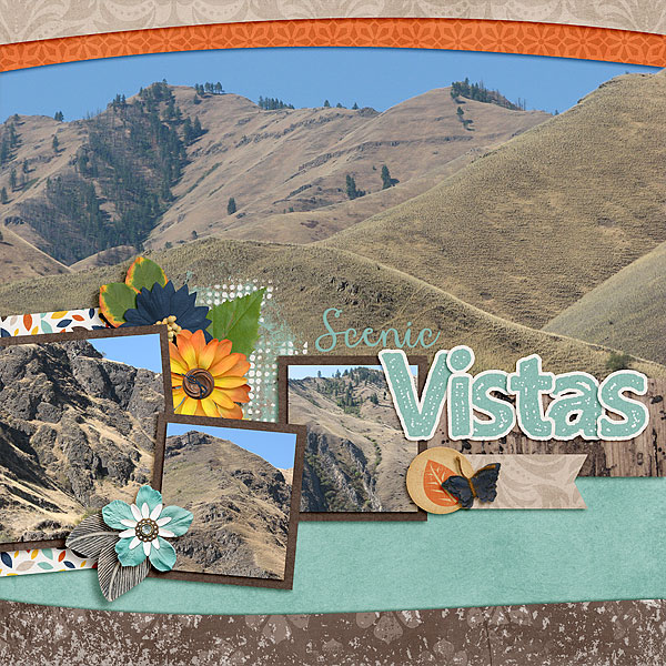 Scenic Vistas