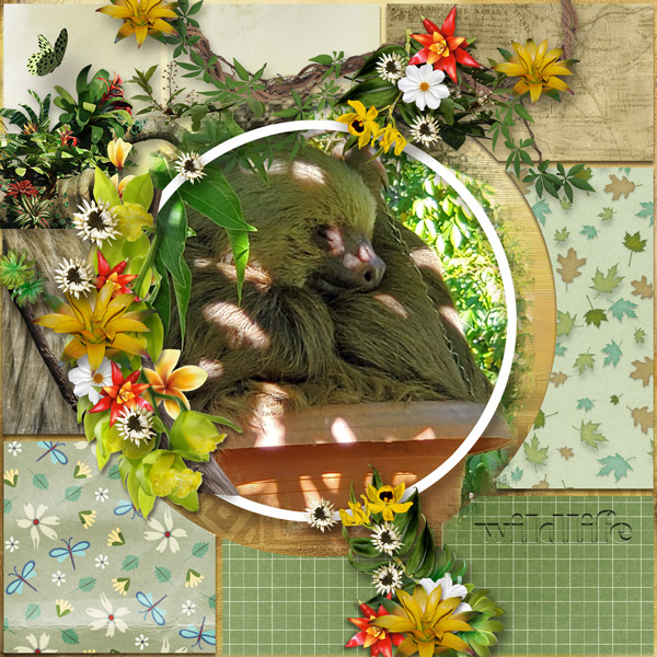 Scents of Spring