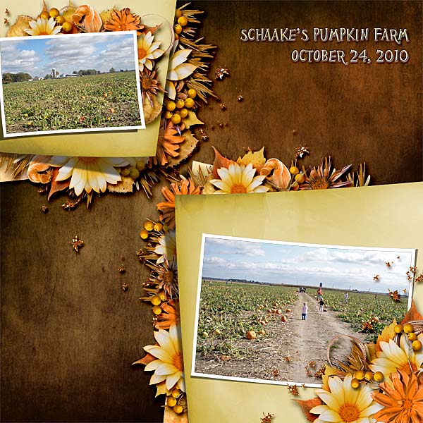 Schaake's Pumpkin Farm