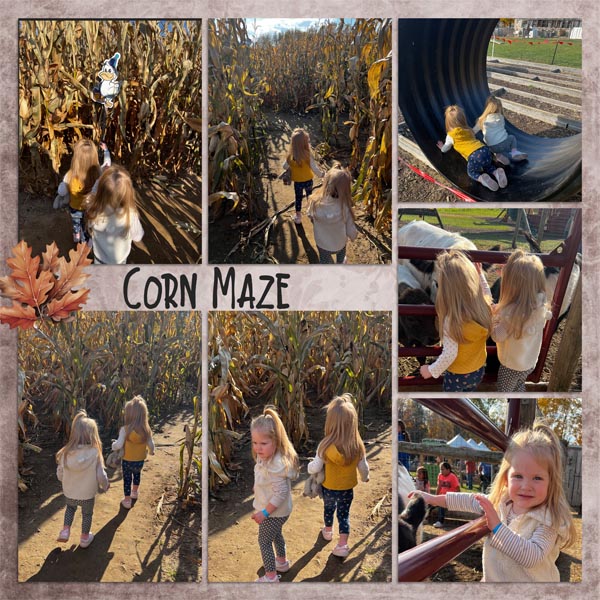 Schairers_Autumn_Acres_R
