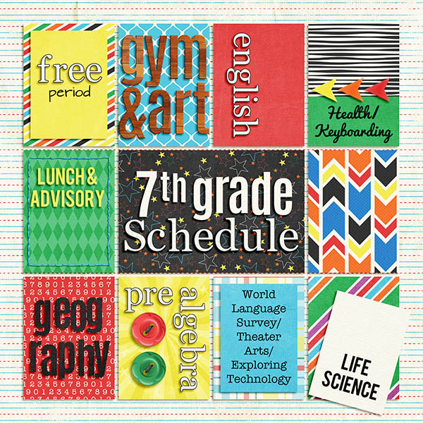 Schedule