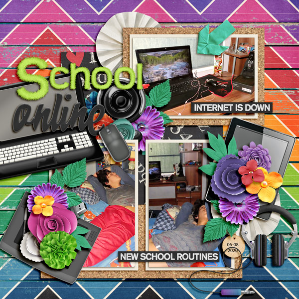 school online