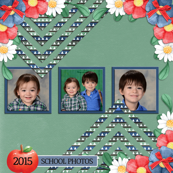 SCHOOL PHOTOS 2015