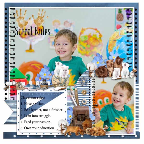 School Rules