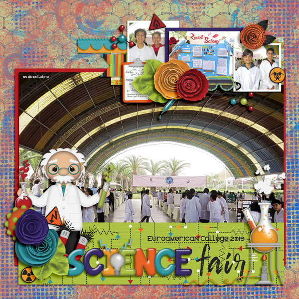 science fair L