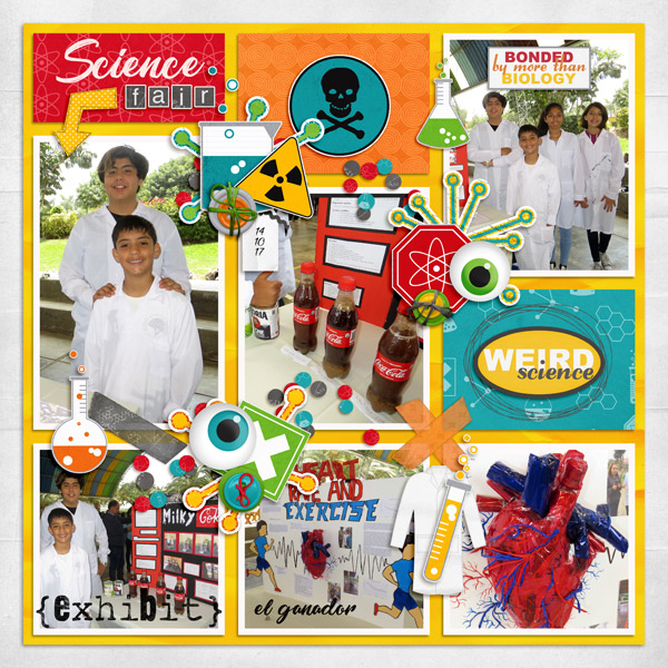 science fair