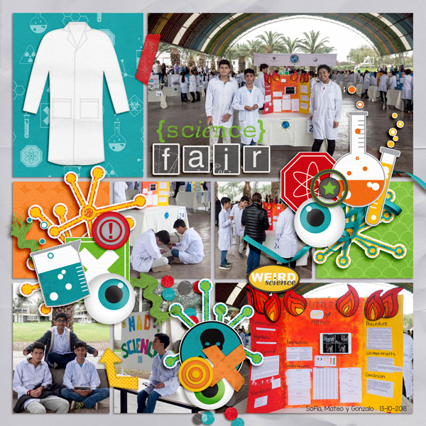 science fair