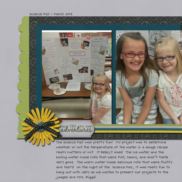 Science Fair_2014
