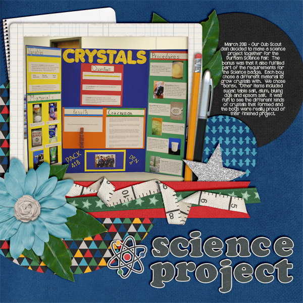 Science Project