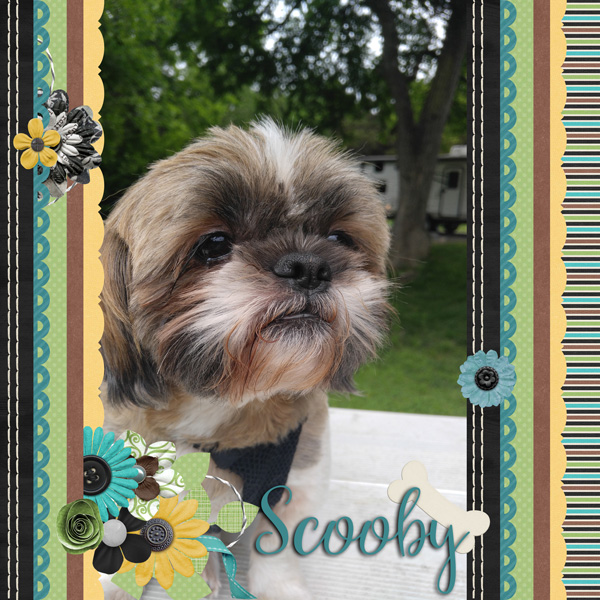 Scoobers