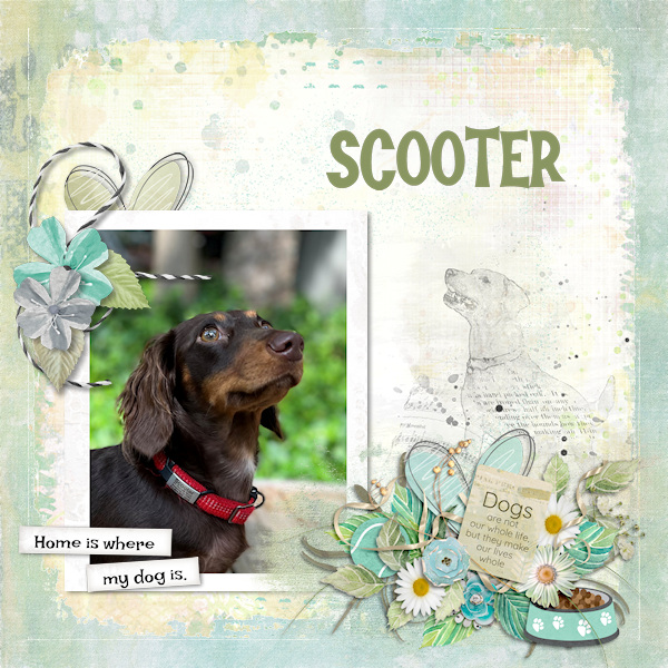 Scooter