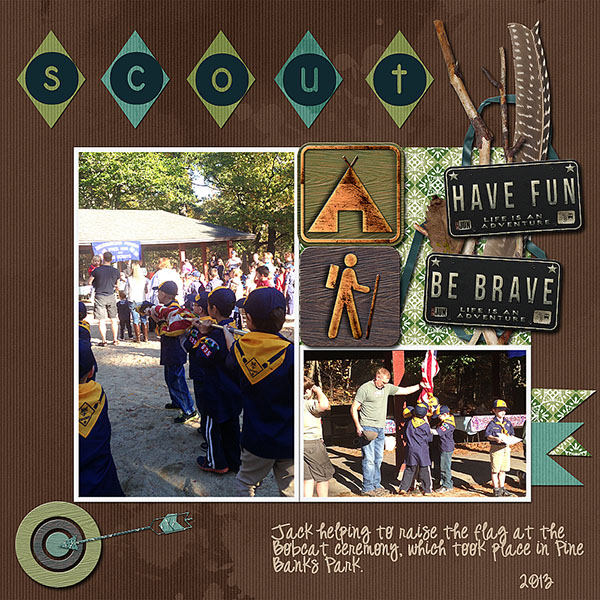 Scout 2013