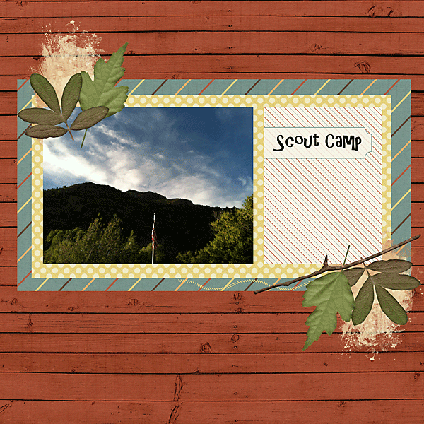 Scout Camp