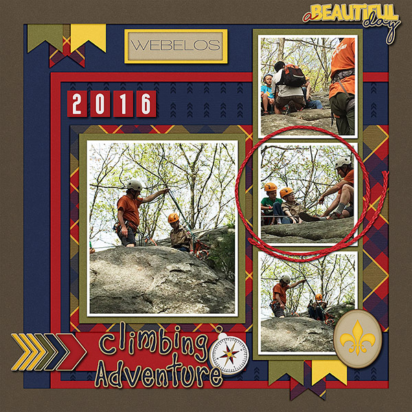 Scout Climb 2016