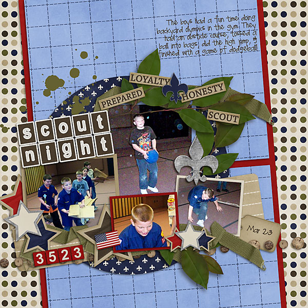 Scout Night