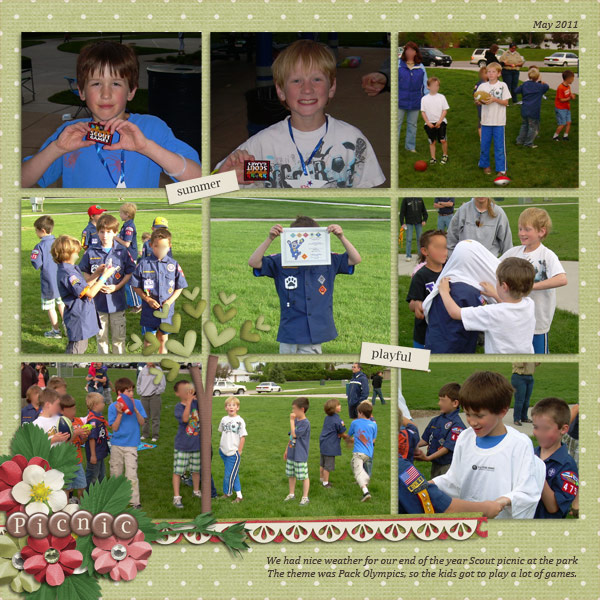 Scout Picnic