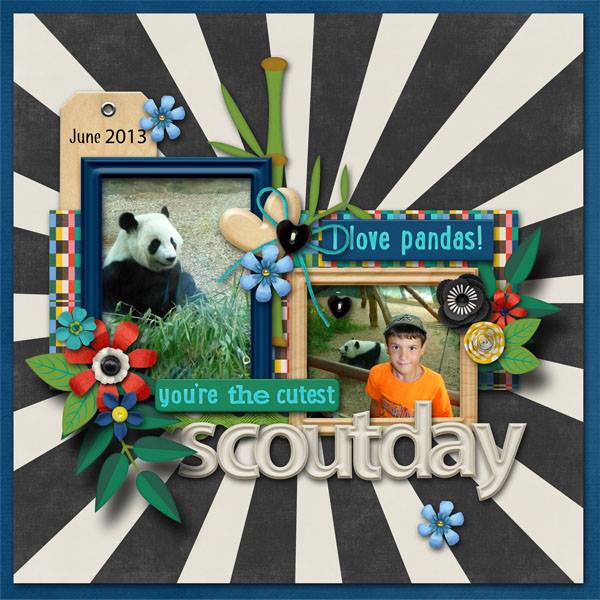 Scout_day