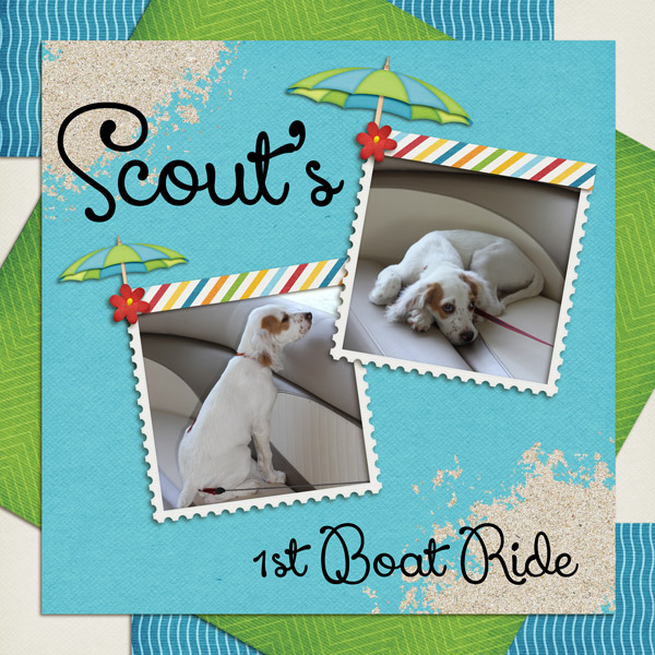 Scout's Bout Ride