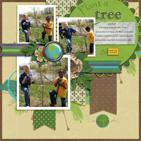 Scouts- plant a tree