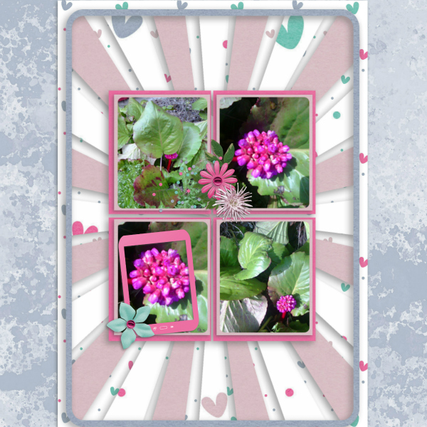 Scrap your cell phone photos