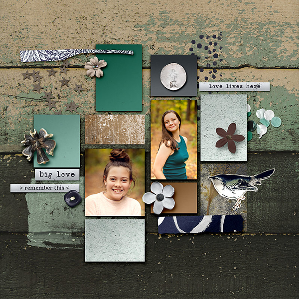 Scrapbook Back Cover 2023