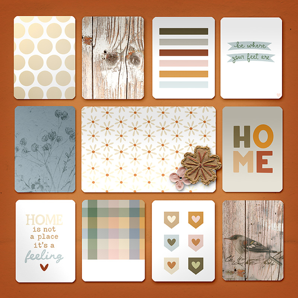 Scrapbook Back Cover 2024