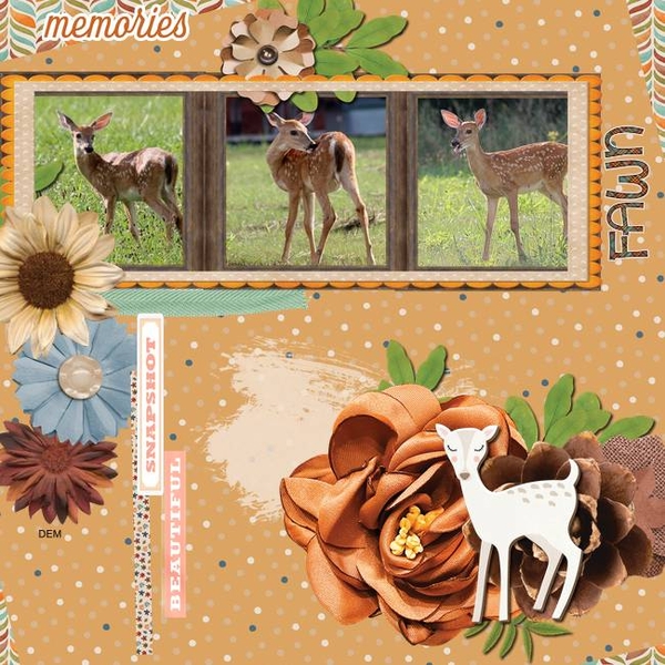 Scraplift Challenge