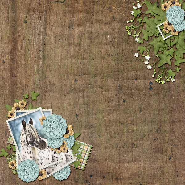 scraplift0117
