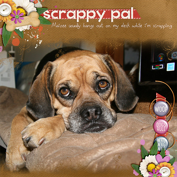 Scrappy Pal