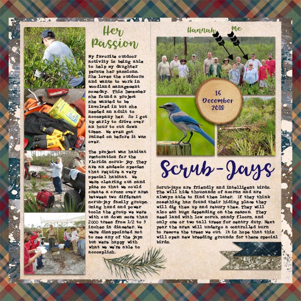 Scrub-Jay Habitat Rehab