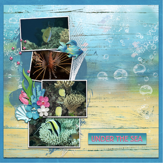 Scuba Diving