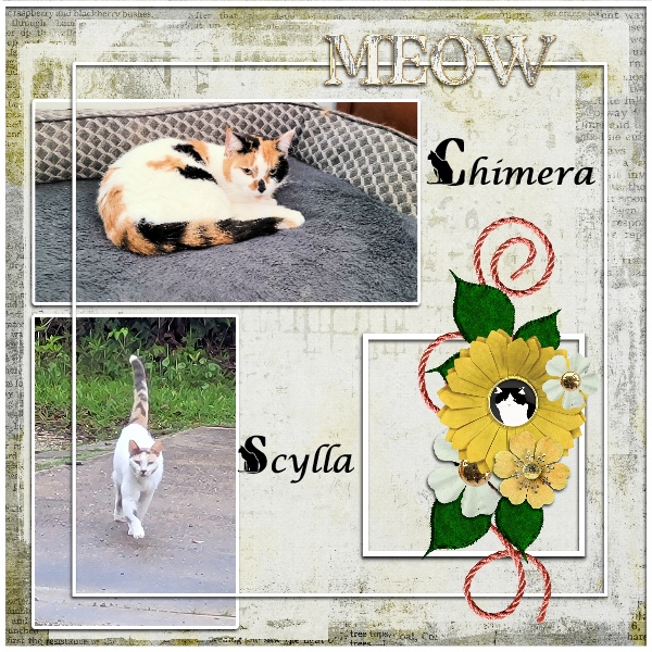 Scylla + Chimera