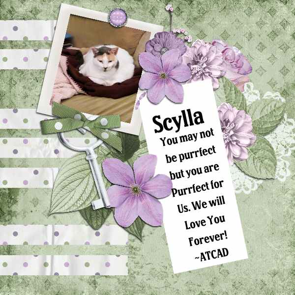 Scylla Font March