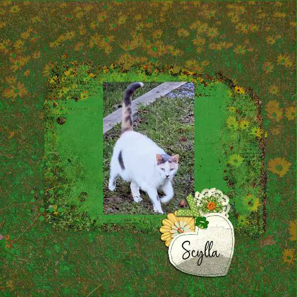 Scylla photomask 3
