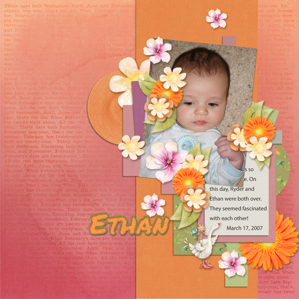 sd-mini-challenge-ethan-2007
