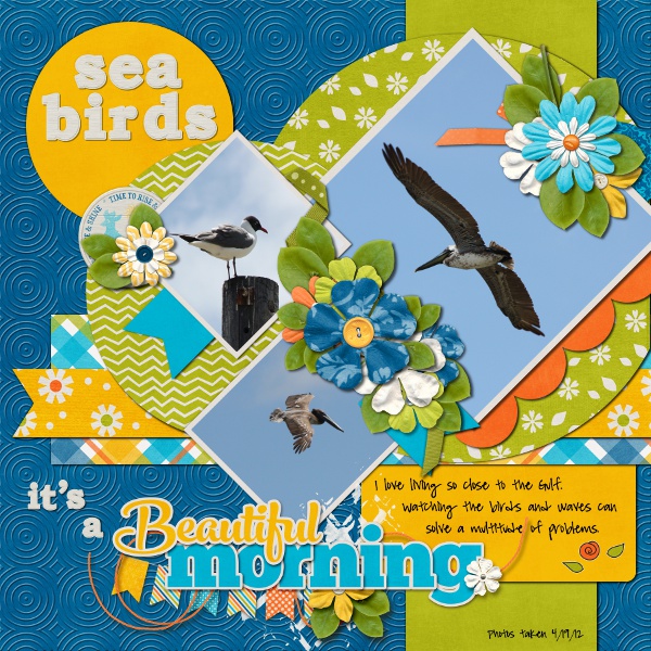 Sea Birds