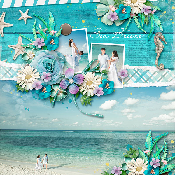 Sea Breeze