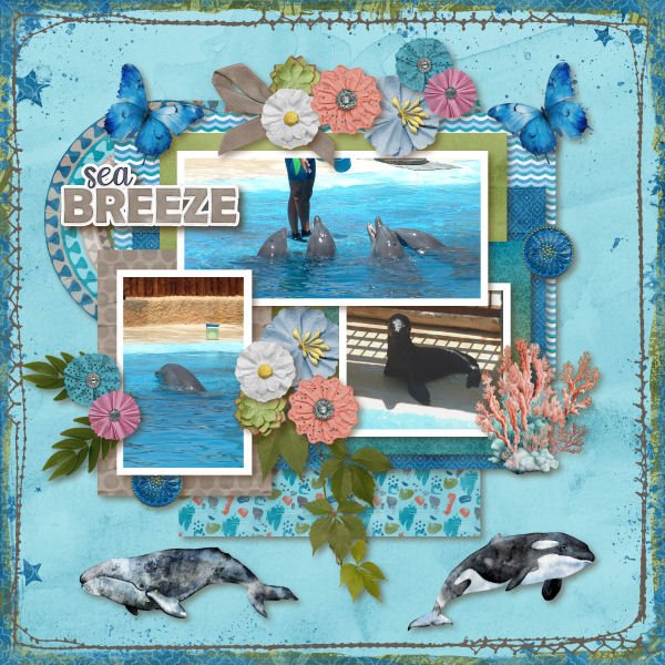 Sea Breeze