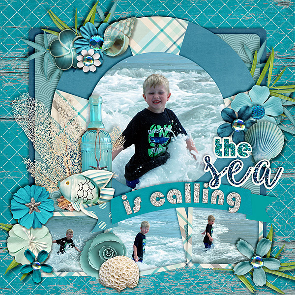 sea-call-doyle-619
