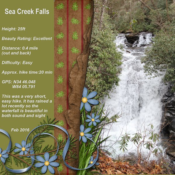 Sea Creek Falls