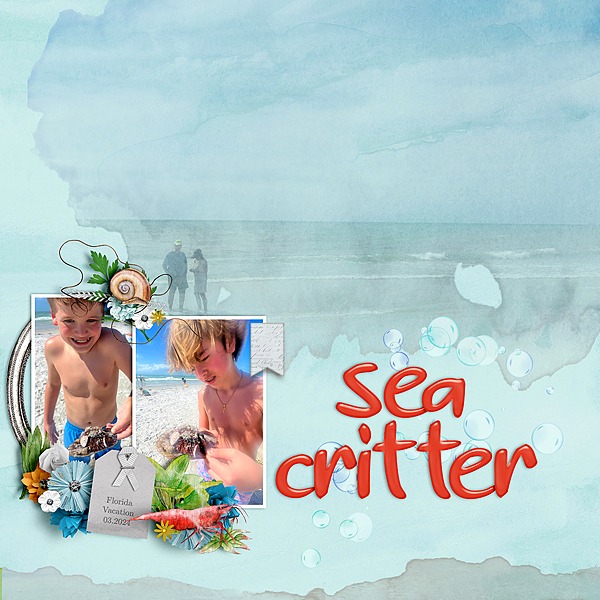 Sea Critter