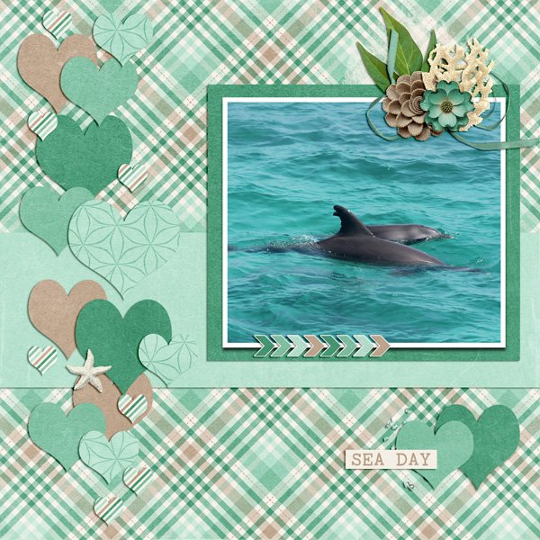 sea day