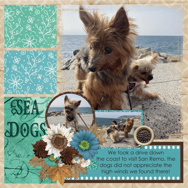 Sea Dogs