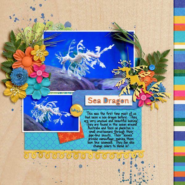 Sea Dragon