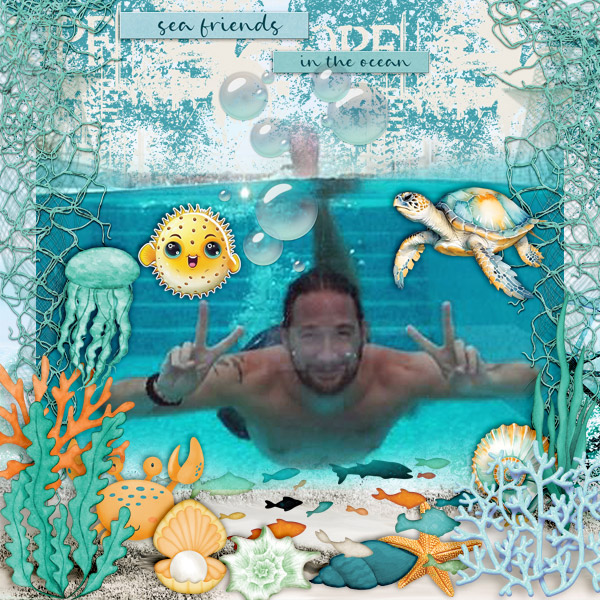 Sea-friends-in-the-ocean