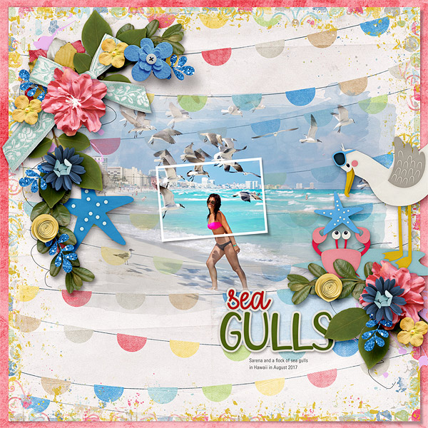 Sea Gulls