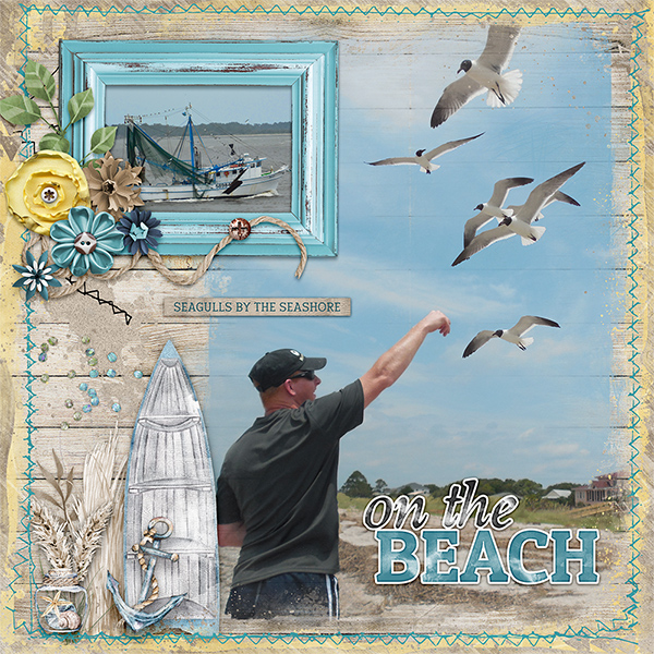 Sea Gulls