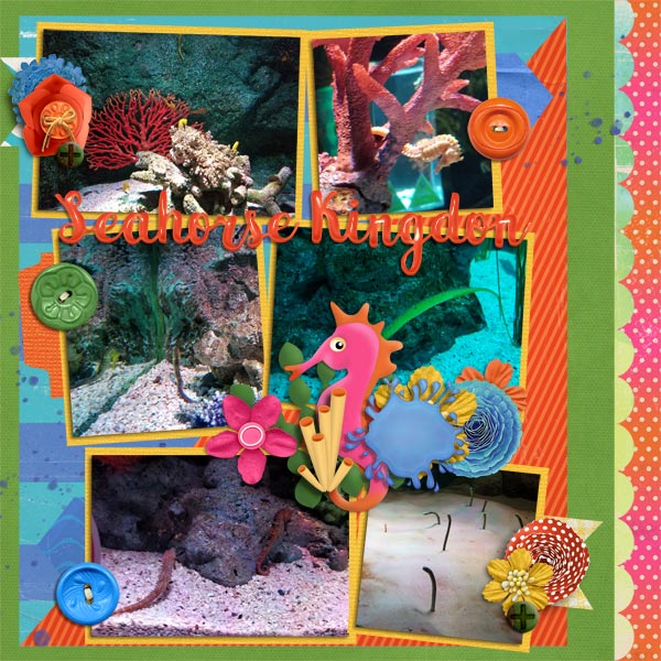 Sea Horses 6/13