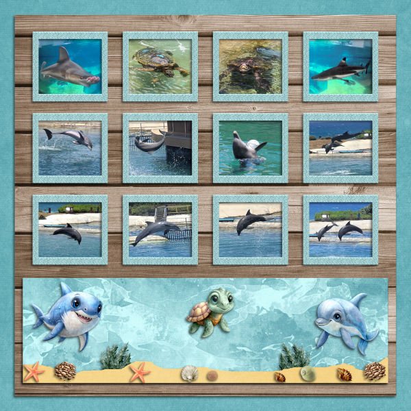 Sea Life Park Hawaii