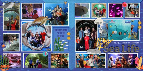 Sea Life